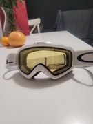 Gogle narciarskie Cambell