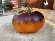 Pomidor Afternoon delight - 10 nasion kolekcjonerskich