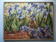 LILIE - IRYSY W OGRODZIE SYGN, 2004r