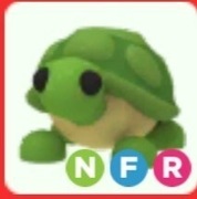 NFR Turtle