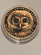 Sowy. Miedź fi 32 mm. Gyges