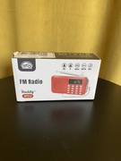 Raddy RF23 AM FM Przenośne kieszonkowe