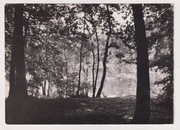 Woliński Park Narodowy 1965r. nakład 1000 sztuk k990