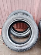 BFGoodrich Advantage All-Season 235/55 R17