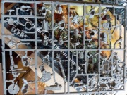 Warhammer Giant wypraski 