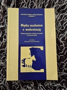 Między zacofaniem a modernizacją Społeczno-gospodarcze problemy ziem