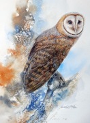 SOWA PTAK  NATURA AKWARELA OBRAZ