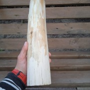 Lipa lipowe wys. 37cm, szer 8cm do rzeźbienia 30 40 cm 50 cm, 60 cm, 20 cm