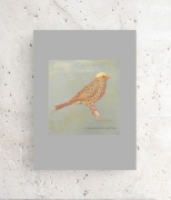 retro plakat z ptaszkiem, kanarek plakat A4, plakat z kanarkiem 21x30