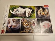 Puzzle Trefl "Kocie sprawy" (26145) 1500 elementów