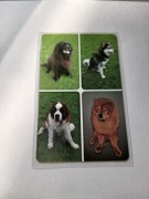 Karta komercyjna 110 K z hologramem