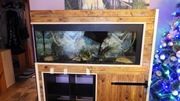 Akwarium 360L  + wyposażenie 