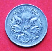 5 Centów  1977   r -     Australia  Kolczatka    