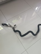 Wąż wody, przewód chłodnicy Renault Espace V, Talisman, Scenic IV