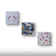 Kompozycja prac na plotnie pt.Ptaszarnis