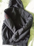 Kurta pitbull rozmiarS