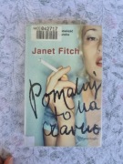 Pomaluj to na czarno Janet Fitch