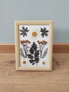 Obrazek z suszonych kwiatów 