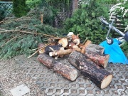 Oddam drewno opałowe 