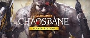 Warhammer: Chaosbane - Slayer Edition klucz steam