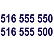 Złota Para 516 555 550_516 555 500