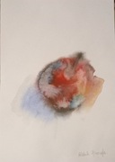 Jabłko ,akwarela, A4, nowy, Aleksandra Skoczyk 