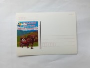 Tydzień Kultury Beskidzkiej 1997