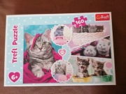 Puzzle Trefl Urocze kotki 160 elementów 41 x 27,5 cm