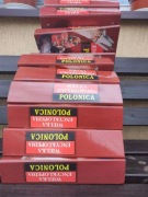 Wielka Encyklopedia Polonica komplet 10 tomów