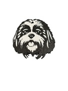 Identyfikator Adresówka dla PSA SHIH TZU tag NFC zawieszka chip lokalizator
