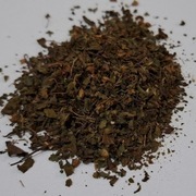 bazylia Indyjska Tulsi (ocimum Sanctum) 50 G 