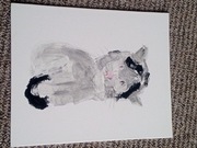 Kotek bandziorek obraz 