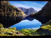 Monitor 24" Lenovo ThinkVision T24d-10