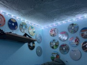 Uchwyt ścienny na płyty CD 5 sztuk