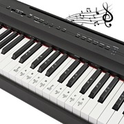 Naklejki Bavooty Piano Notes.Naklejki na klawiaturę fortepianu (216b)