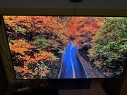 Telewizor OLED LG 55