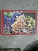 Castorland puzzle rudy kotek