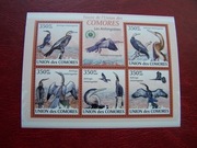 Komory 2009 MNH Fauna Ptaki