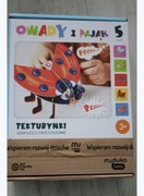 Tekturynki. Owady i pająk