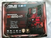 Płyta główna ASUS EX-B250V7