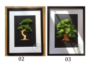 Drzewko bonsai obraz z chrobotka