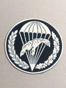 Naszywka oznaką 6PDPD, typ IV, 5dam