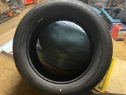 Bridgestone Alenza 001 235/55 R19 101 V