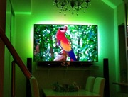 Telewizor PHILIPS 58PUS7304 58" Android HDR Ambi