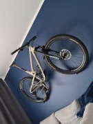 Propain Hugene 2022 CF L