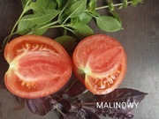 MALINOWY nasiona kolekcjonerskie