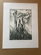 Czesław Woś Akwaforta Spalone Drzewo I