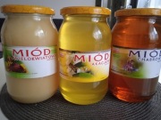 Miód z pasieki ekologicznej 1250 gram 