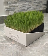 Personalizowany pojemnik/doniczka na trawę dla Twojego kota - druk 3D
