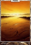 Land - Plains - Unhinged NM